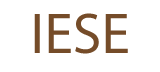 IT enhanced services experts llc logo
